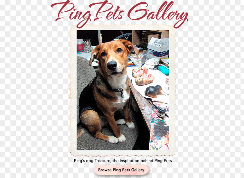 Pet Home Beagle Puppy Love Dog Breed Advertising PNG