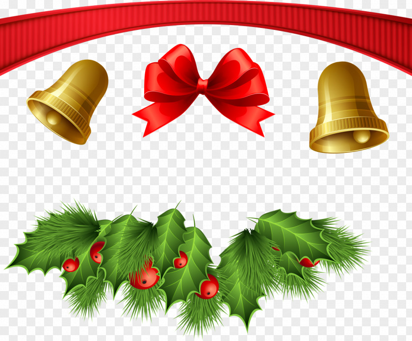 Plant Holly PNG