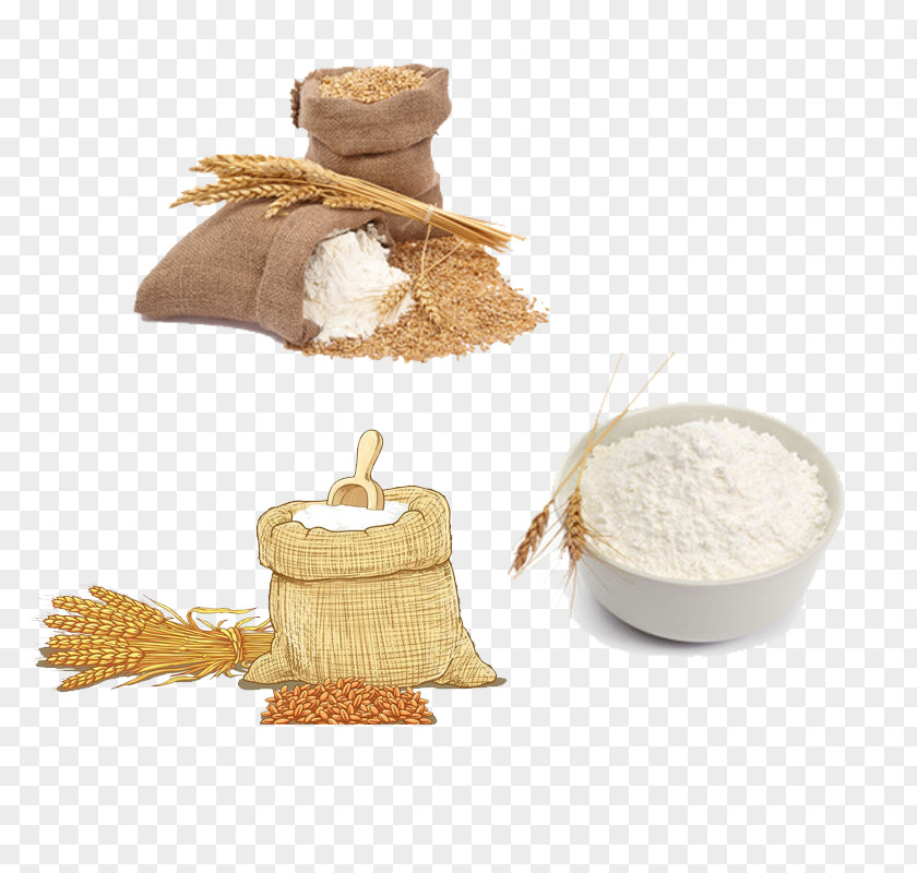 Plant Wheat White Flour Roti Sieve PNG