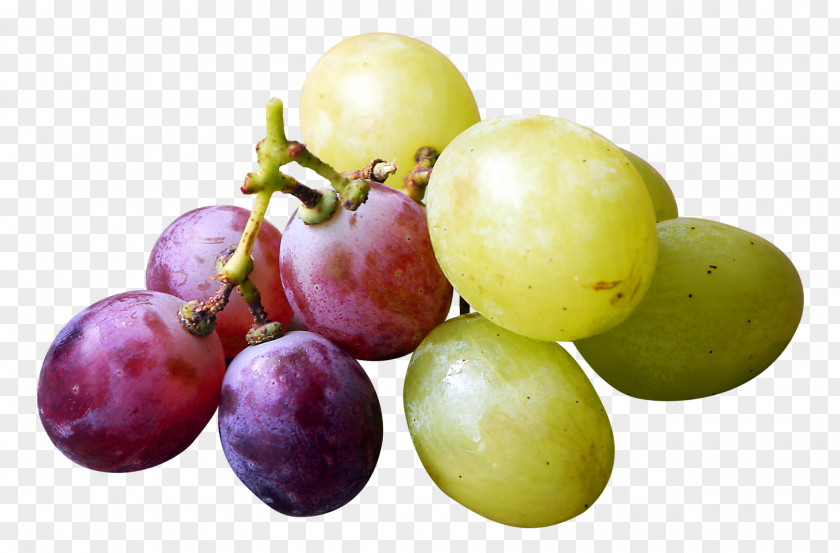 Red And Green Grapes Grape Organic Food Veganism PNG