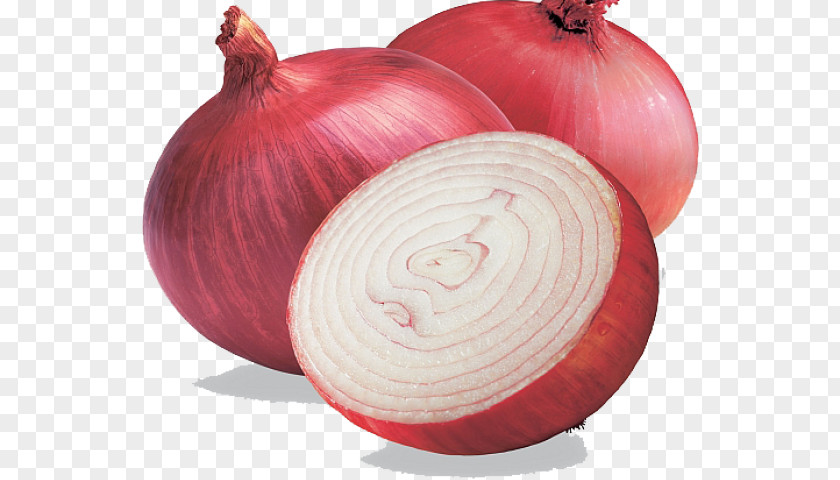 Amaryllis Family Pink Onion Cartoon PNG