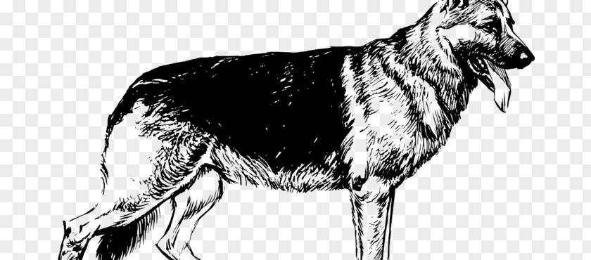 King Shepherd Sakhalin Husky Wolf Drawing PNG