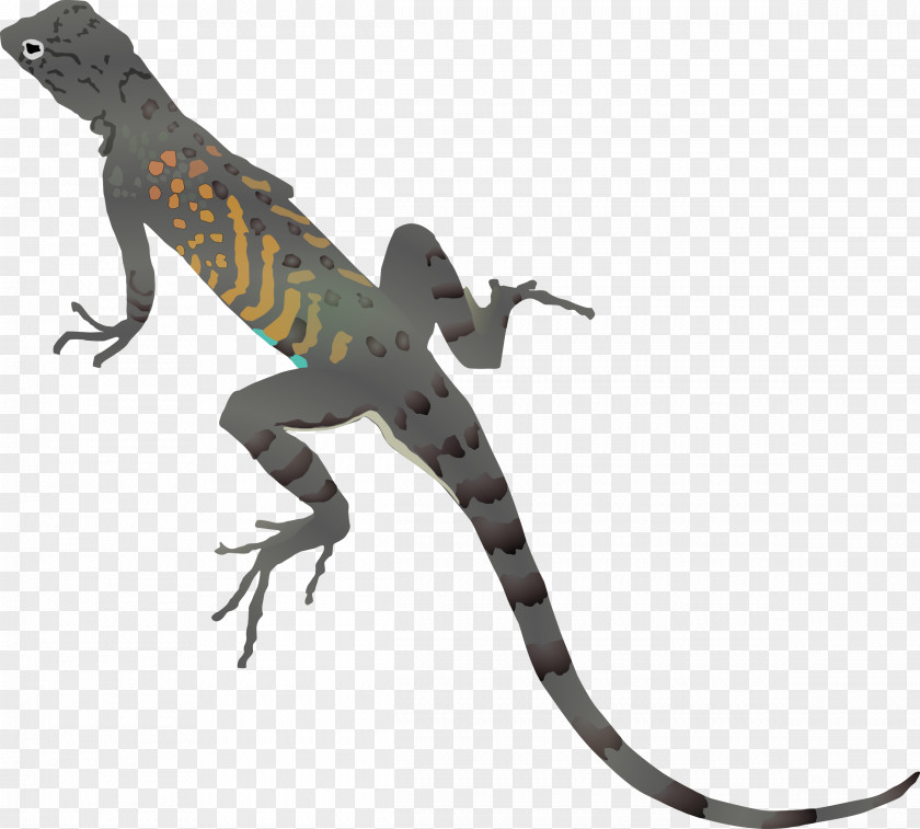 Lizard Chameleons Common Iguanas Komodo Dragon Clip Art PNG
