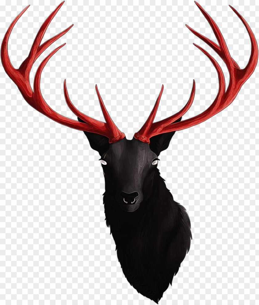 Moose Wildlife Reindeer PNG