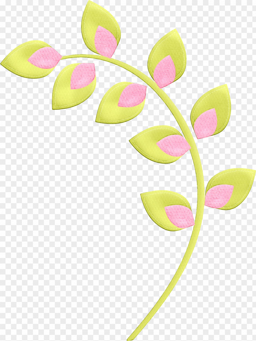 Pink Pedicel Leaf Plant Petal PNG