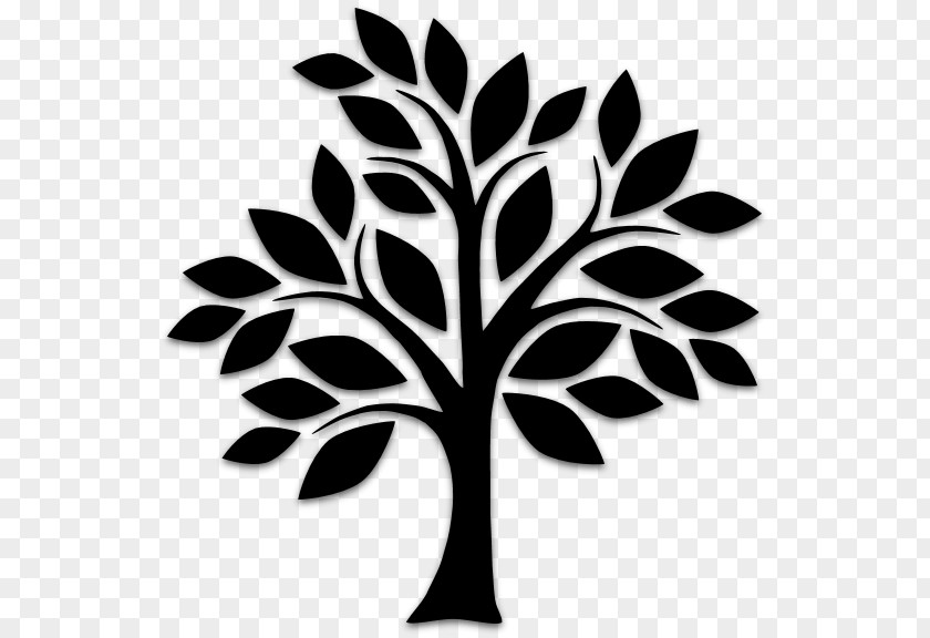 Plant Stem Stencil Tree Drawing Branch Oak Trunk PNG
