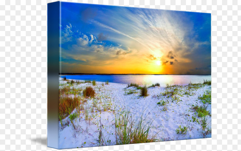 Seaside Scenery Gallery Wrap Eszra Painting Landscape Ecoregion PNG