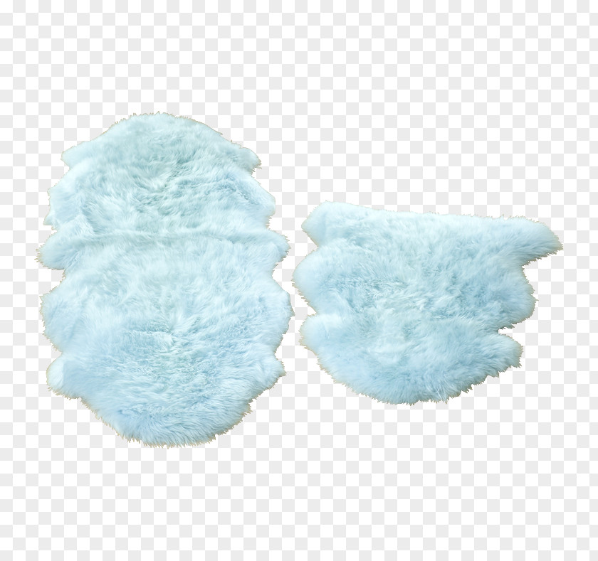 Sheepskin Turquoise Petal Fur Shoe PNG