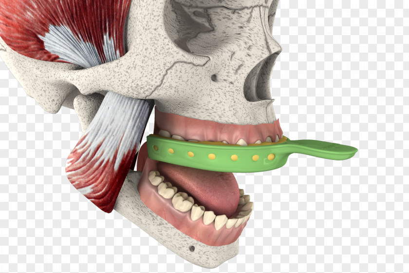 3d Tooth Video Bone Magic Joint Knee PNG