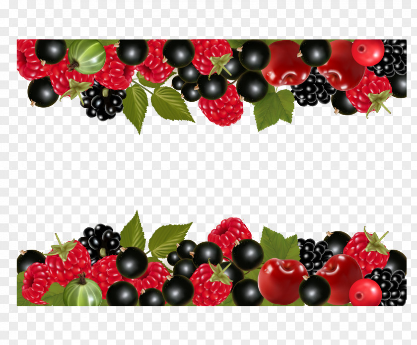 Berries Photography Royalty-free PNG