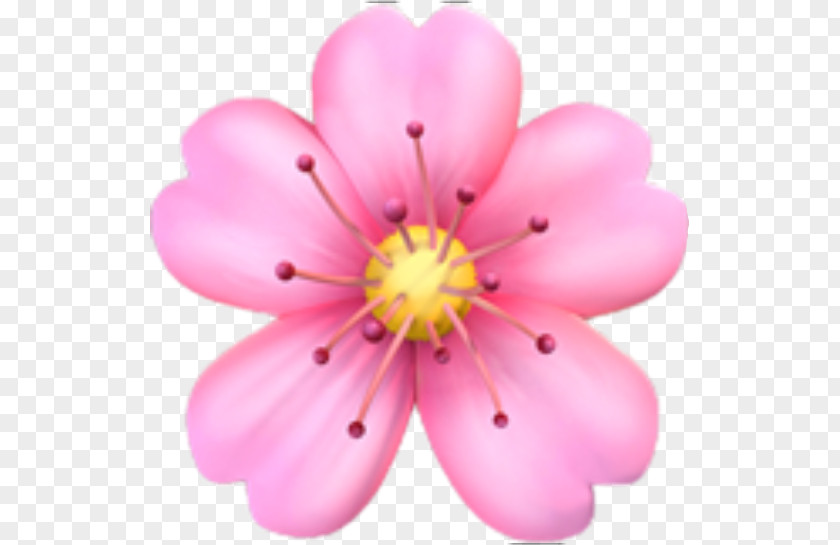 Emoji Emojipedia Flower Domain PNG