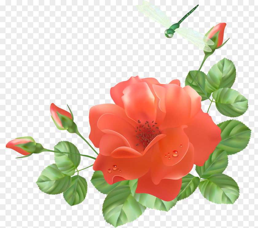 Flower Garden Roses PNG