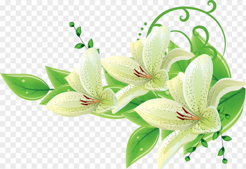 Flower PNG