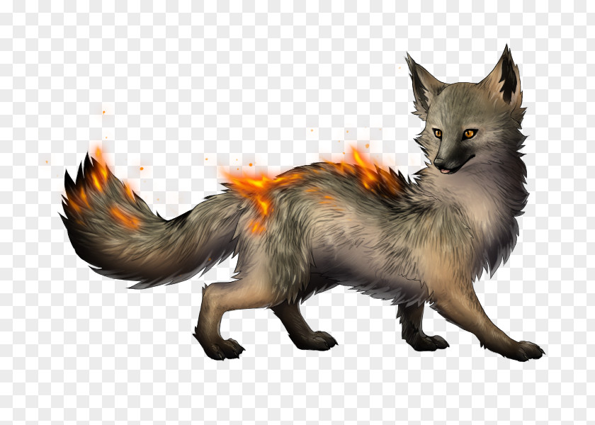 Fox Red Kit Gray Fur PNG