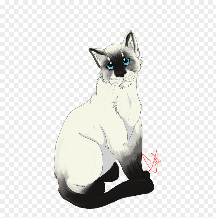 Kitten Balinese Cat Snowshoe Whiskers Domestic Short-haired PNG