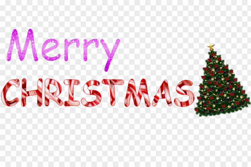 Merry Christmas Photo Text Messaging Clip Art PNG