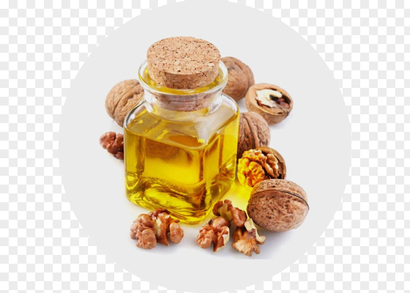 Oil Walnut Carrier Seed PNG