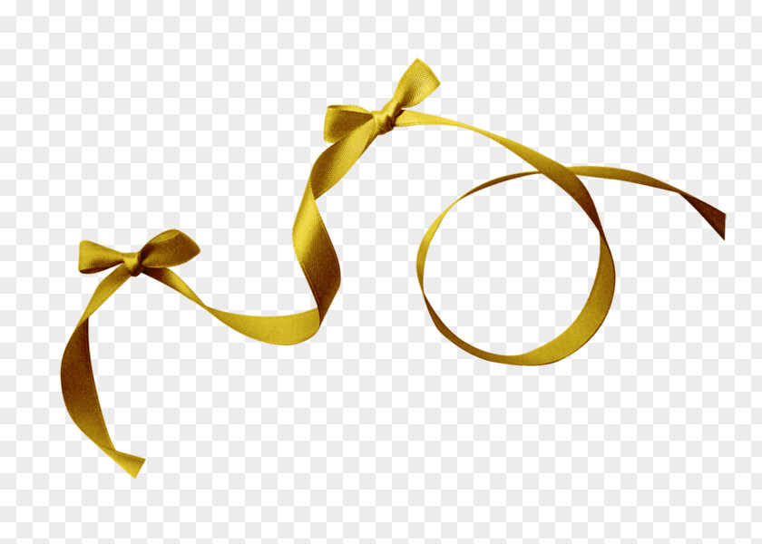 Ribbon Photography Clip Art PNG