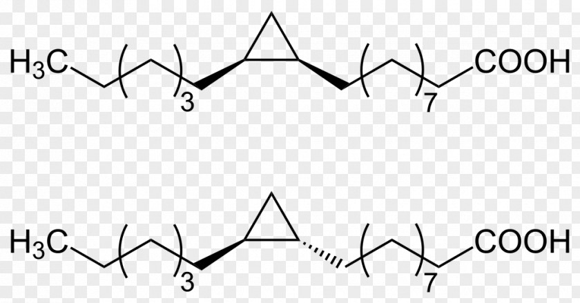 Stereoscopic Isoleucine Branched-chain Amino Acid Lactobacillic Chemical Compound PNG