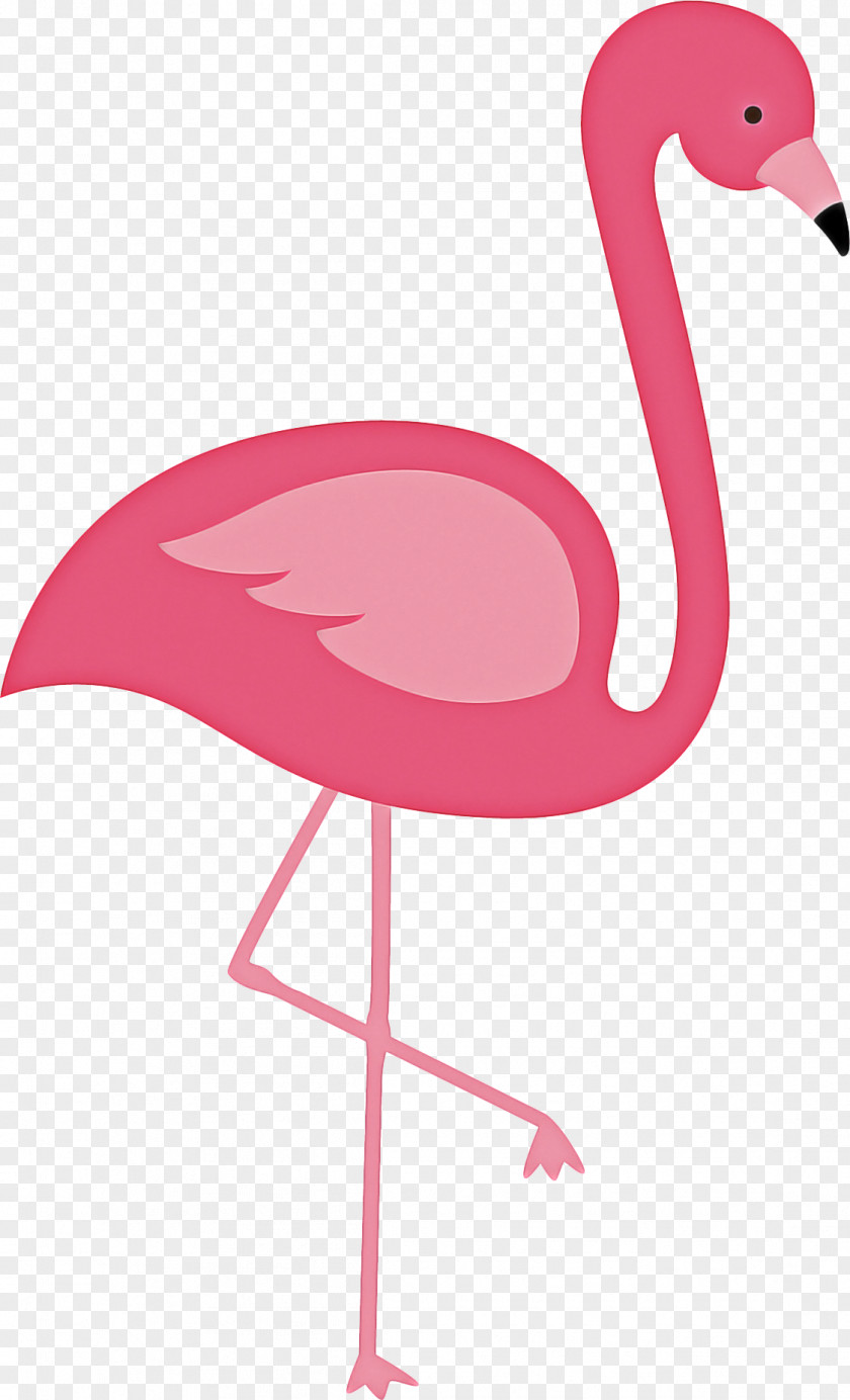 Chair Furniture Pink Flamingo PNG