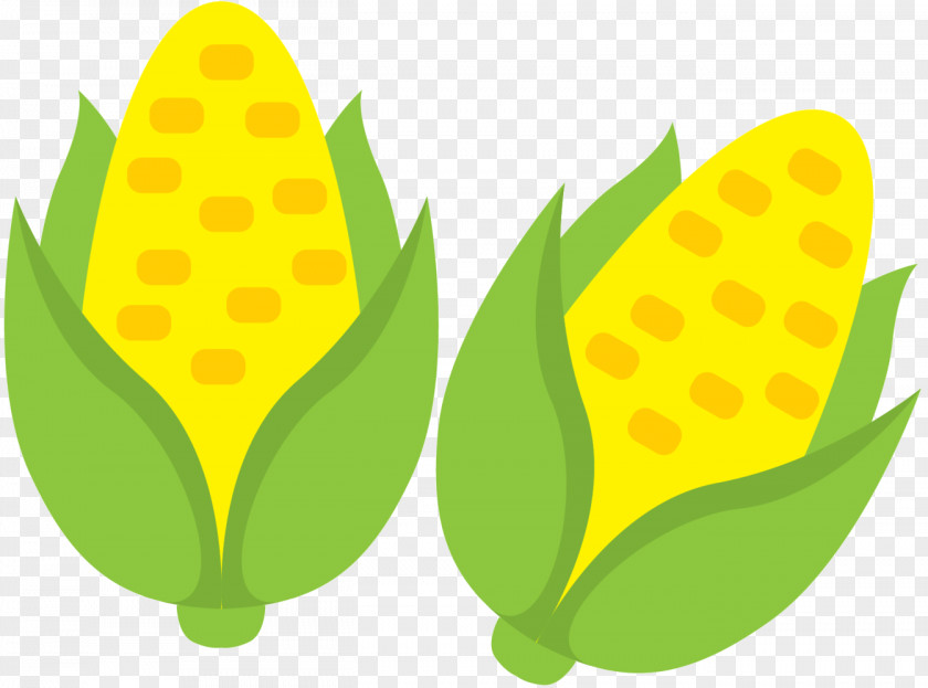 Clip Art Commodity Product Design Flowering Plant Vegetable PNG
