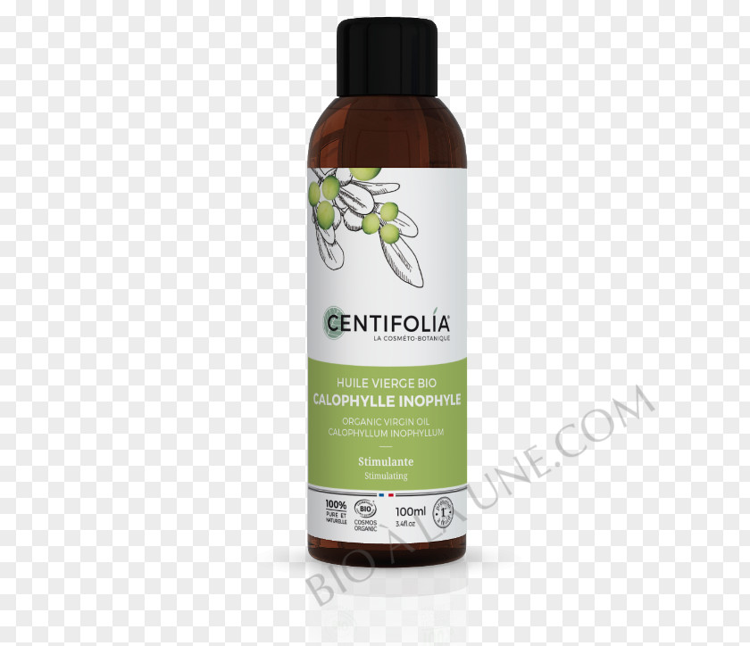 Oil Organic Food Vegetable Apricot Huile Alimentaire PNG