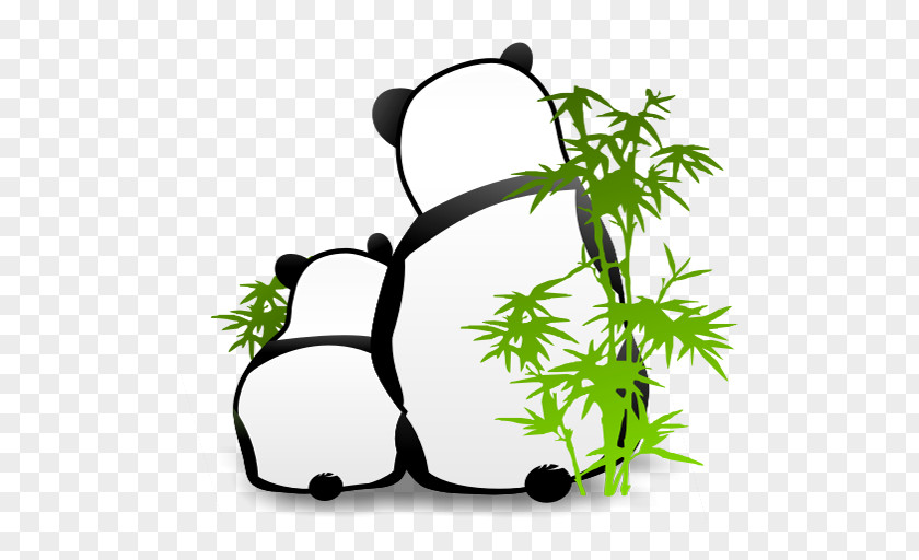 Panda Giant Bear PNG