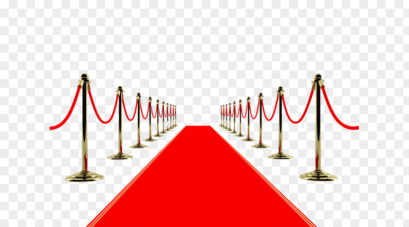 Red Carpet Academy Awards Pre-show Wallpaper PNG
