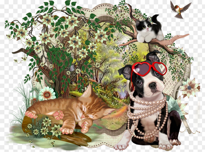Cat Boston Terrier Graphic Art PTM Dog Breed PNG