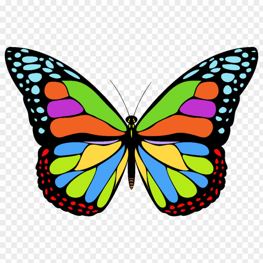 Icon Free Butterfly Monarch Content Clip Art PNG
