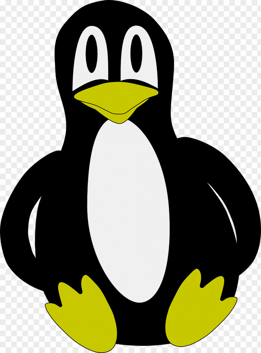 Pinguin Penguin Clip Art PNG