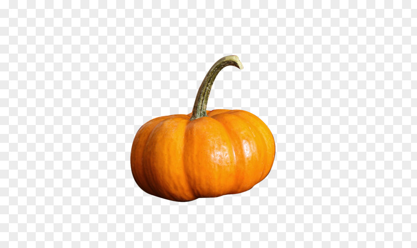 Pumpkin Calabaza Gourd Vegetable PNG