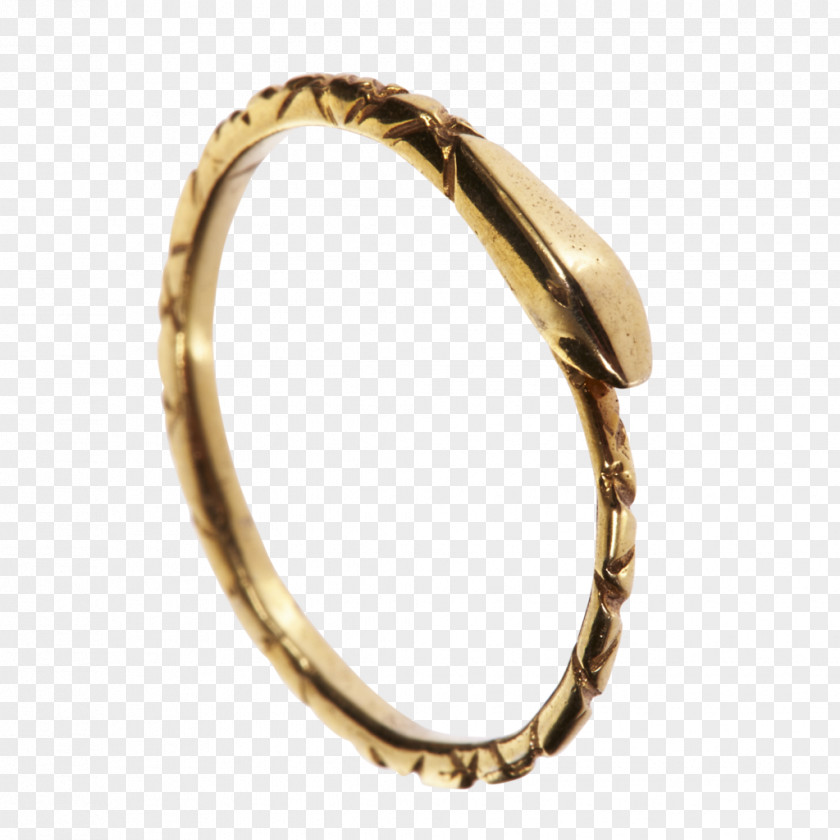 Ring Ouroboros Snakes Wedding Jewellery PNG