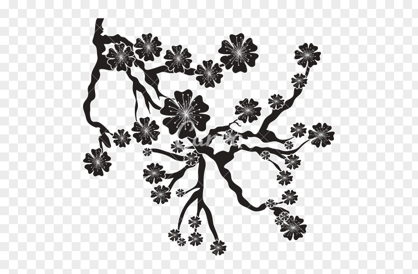 Boho Arrow Cherry Blossom Drawing Black And White PNG