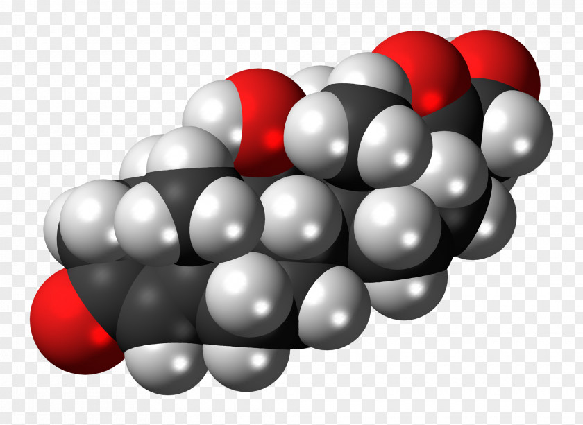 Cholesterol Steroid Space-filling Model Molecule Cell Membrane PNG