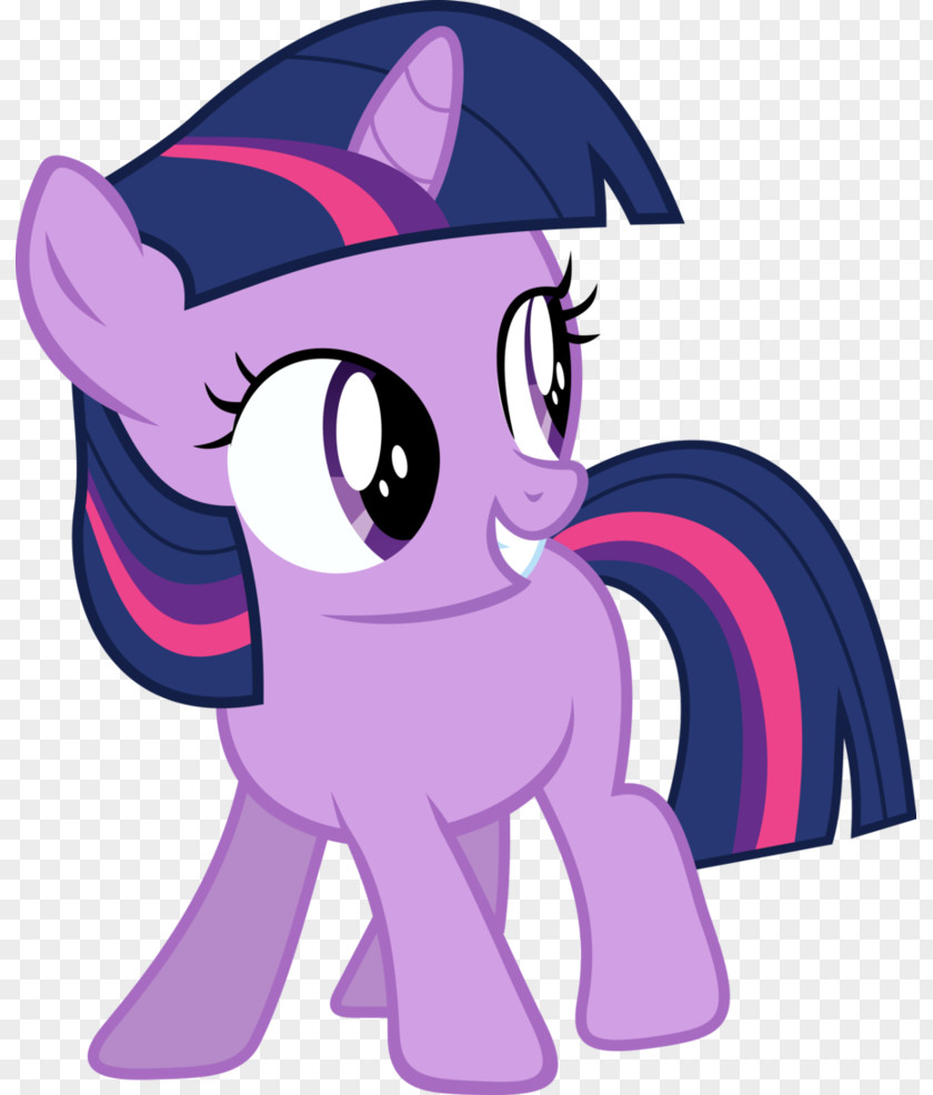 Horse Twilight Sparkle Pony Princess Cadance Pinkie Pie PNG