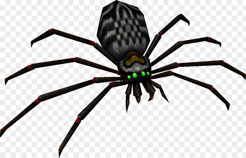 Insect Widow Spiders STX G.1800E.J.M.V.U.NR YN PNG