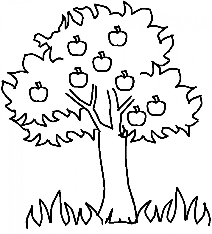 Printable Pictures Of Trees Coloring Book Tree Child Trunk Adult PNG
