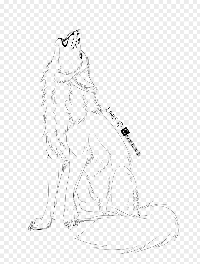 Whiskers Line Art Drawing Artist Sketch PNG