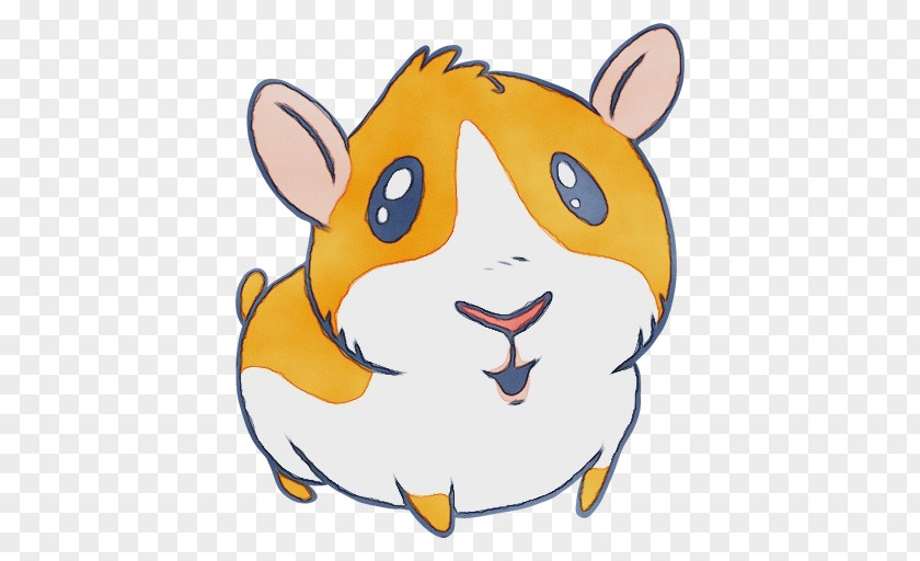 Whiskers Muroidea Hamster PNG