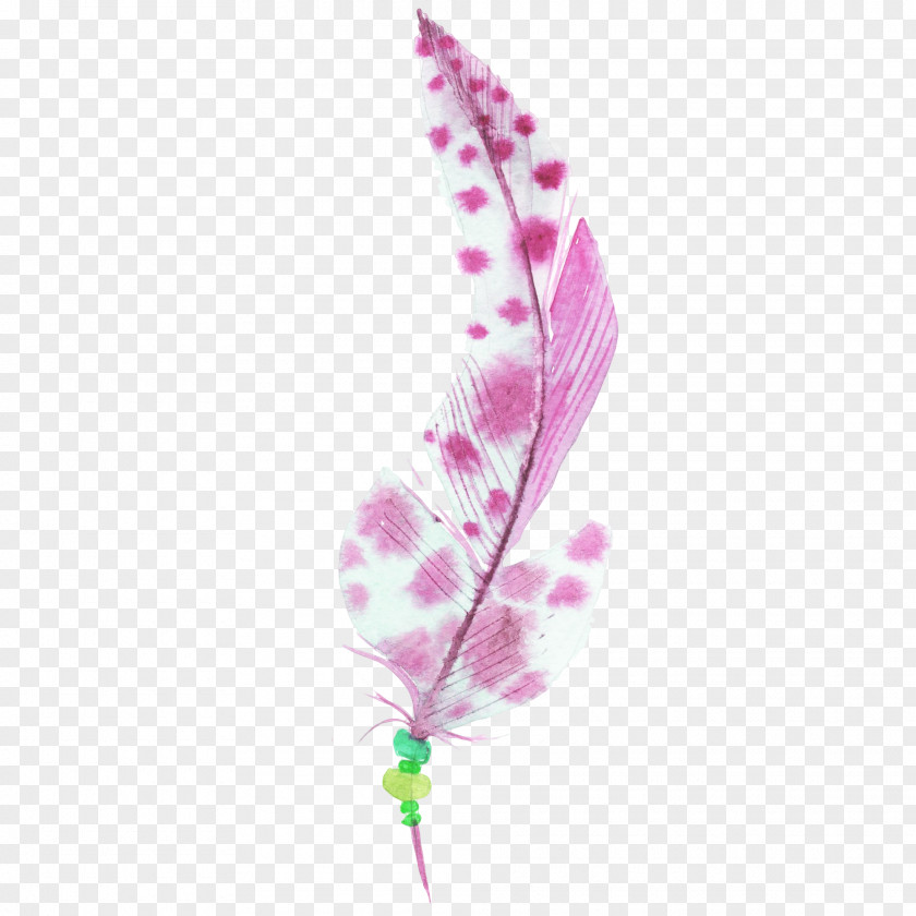 Hand-painted Feathers Bird Feather Watercolor Painting PNG
