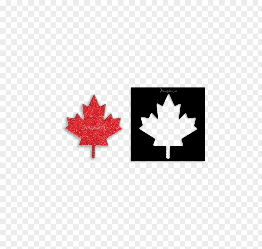 Leaf Maple Stencil Flag Of Canada PNG