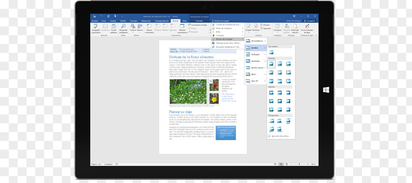 Microsoft Tablet PC Word Office 365 PowerPoint Computer Software PNG