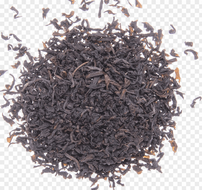 Oolong Tea Organic Food Compost City: Practical Composting Know-How For Small-Space Living Sewage Sludge PNG