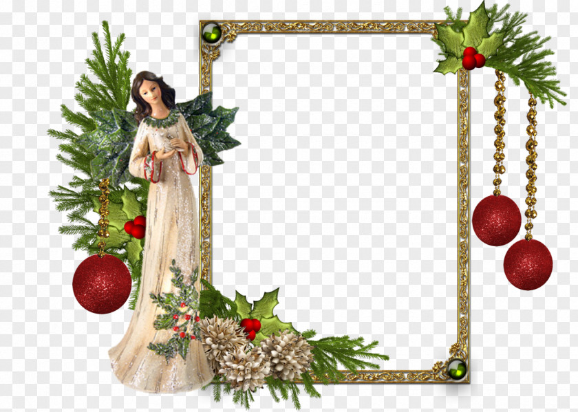 Round Frame Picture Frames Christmas Photography PNG