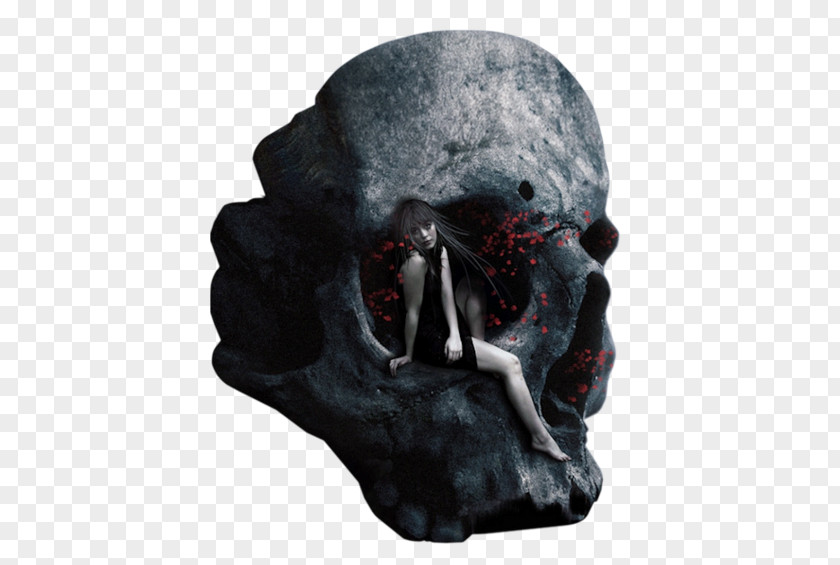 Skull Human Symbolism Death Desktop Wallpaper Gothic Art PNG