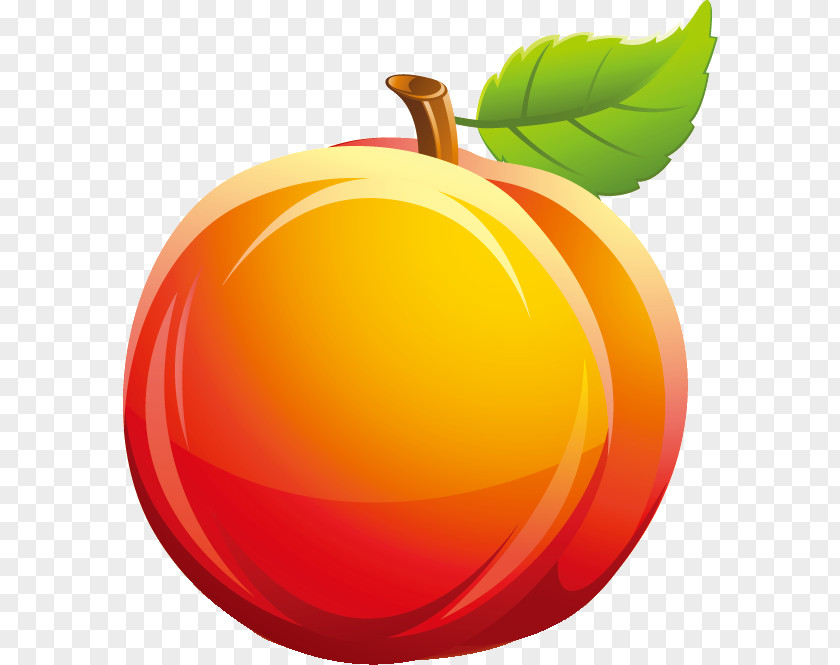 Summer Season Peach Fruit Juicer Auglis Common Plum PNG