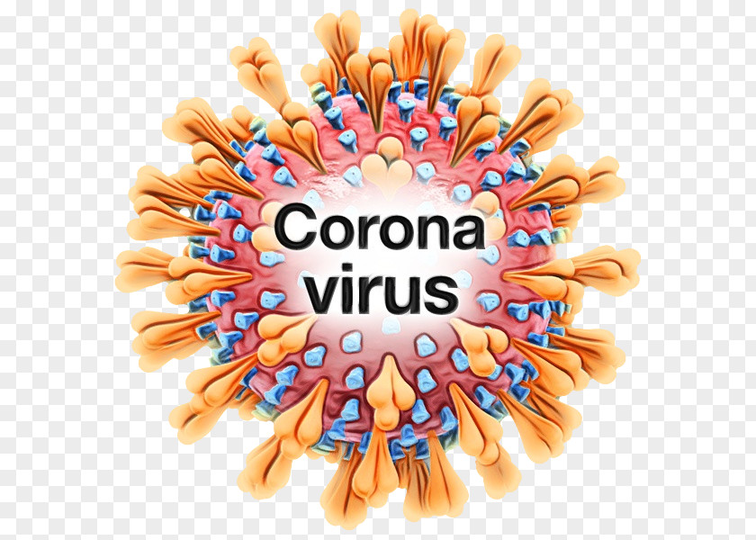 2019–20 Coronavirus Pandemic Disease 2019 Learning Disability Health PNG
