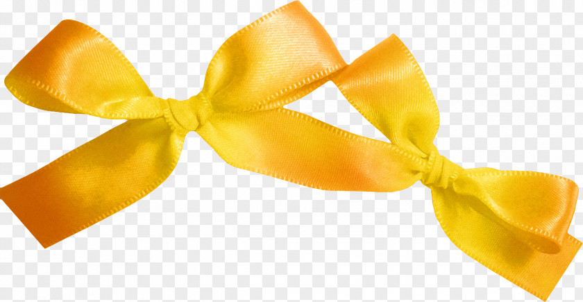 Bow Print Tie Shoelace Knot Clip Art PNG