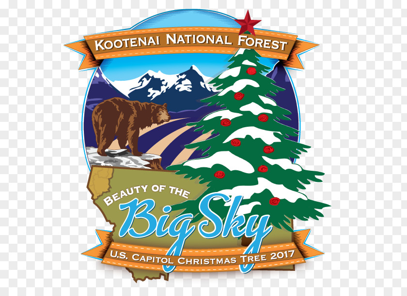 Christmas Tree United States Capitol Kootenai National Forest The PNG